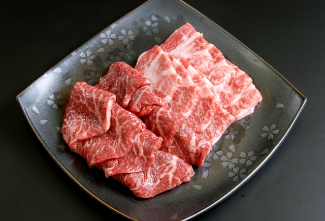 名古屋で賢く食べる！元大関琴光喜がいる炭火焼肉でダイエット中も選べる太らない部位の特徴